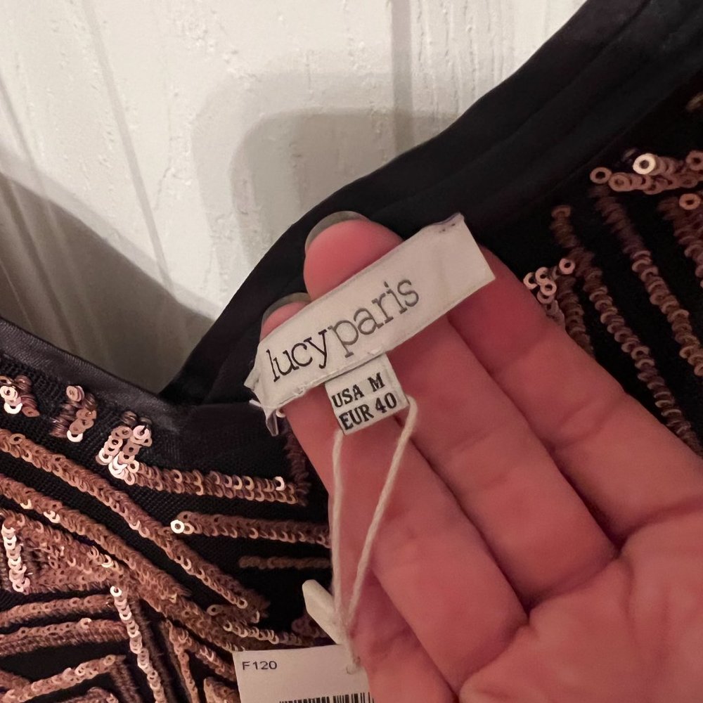 NWT Lucy Paris sequin cocktail party sheath dress size Medium - Picture 6 of 6